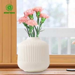 Bình hoa Aternee Cây Bắc Âu Terrarium Chậu hoa Bình trang trí Bình hoa Bud Bình trồng cây