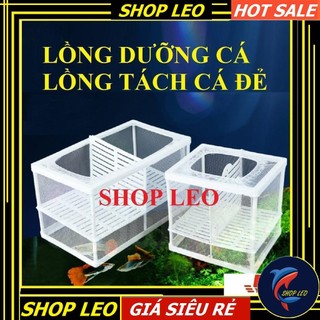 LỒNG DƯỠNG CÁ- TÁCH CÁ ĐẺ- lồng cá đẻ
