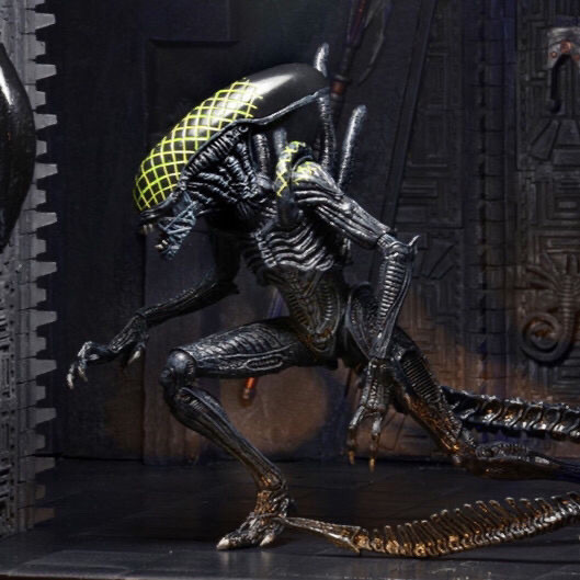 NECA Alien Wars Predator AVP Alien Alien 7th Wave Flower Head Alien Alien 23cm Mô hình thực hành