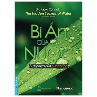 Sách Bí Ẩn Của Nước - Giải Mã Sự Kỳ Diệu Của Nước Sống - The Hidden Secrets Of Water