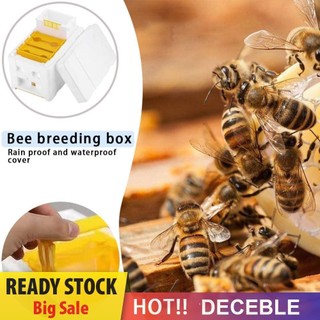 Tổ ong Pollination King Bees Hộp tổ ong Hộp đựng ong Đồ dùng nuôi ong [deceble.vn]