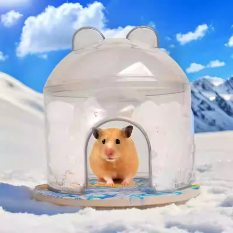 Làm mát làm mát làm mát Igloo Nest Hamster nhanh, Hamster làm mát trong suốt, đông lạnh lặp đi lặp l