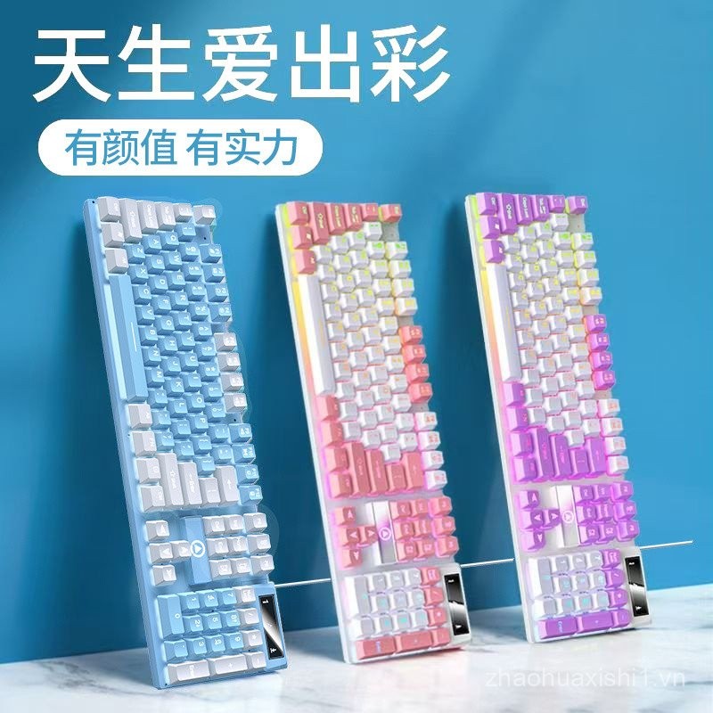 Bạc Đại Bàng K500 Bàn Phím Chuột Bộ Máy Tính Để Bàn Có Dây Trò Chơi Cô Gái Tắt Tiếng Cảm Giác Cơ Chu