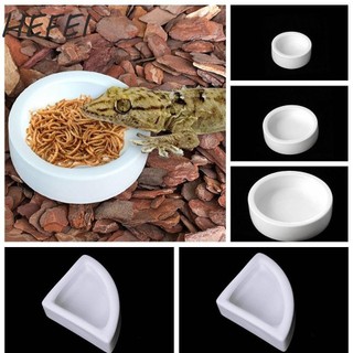 HEFEI Thằn Lằn, Nồi Thực Phẩm Thằn Lằn Thoát Bằng Gốm Sứ, Đĩa Ăn Bò Sát Tròn Vô Trùng Sáng Tạo Nhà