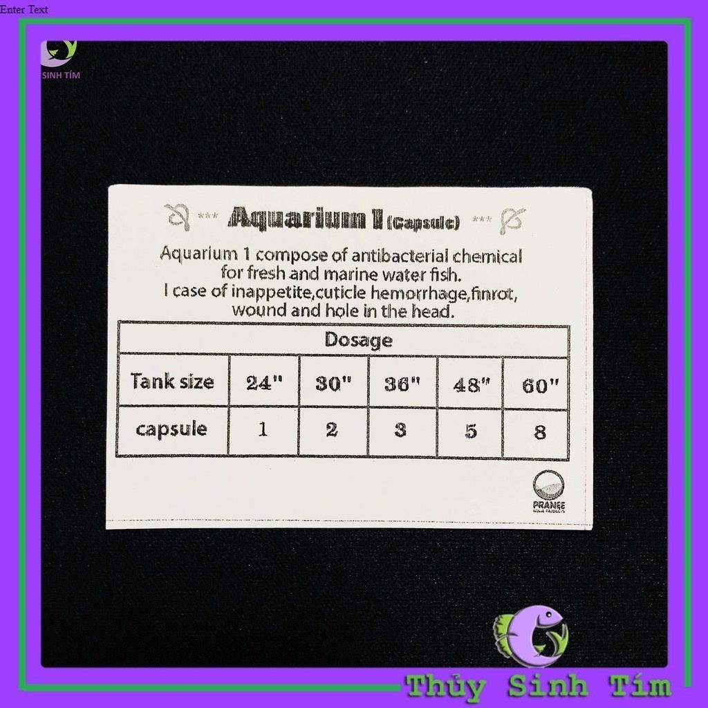 Sát khuẩn hồ tép Pranee Aquarium-1