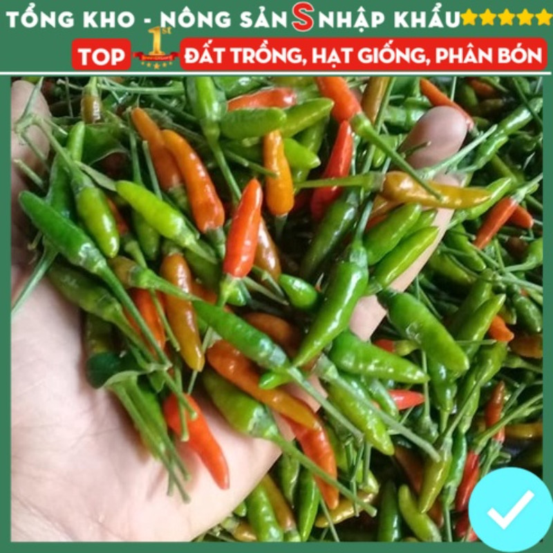 [ Sale 50%] 100 HẠT GIỐNG ỚT XIÊM NÚI- Ớt rừng Thái Lan chuẩn Dễ Trồng Dễ Chăm Sóc Dễ Thu Hoạch