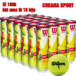 Quả bóng banh tennis Wilson WRT110000 Championship đỏ hộp 4 trái - Sản phẩm tennis chuyên nghiệp