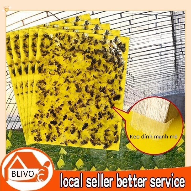 10/20/30 PCS Siêu miếng dán ruồi vàng, bẫy dụ ruồi vàng và côn trùng phá hoại mùa màng, cây ăn quả