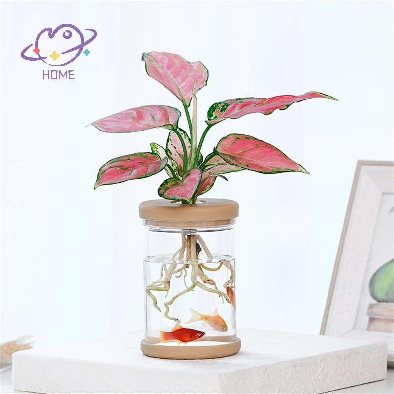 [mayhome] Chậu đựng chậu thủy tinh giả Bình hoa cây xanh trong chậu nhỏ {TH}