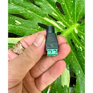 ( 5 CÁI ) Jack nguồn đực - cái DC 5.5x2.1mm có ốc vặn.