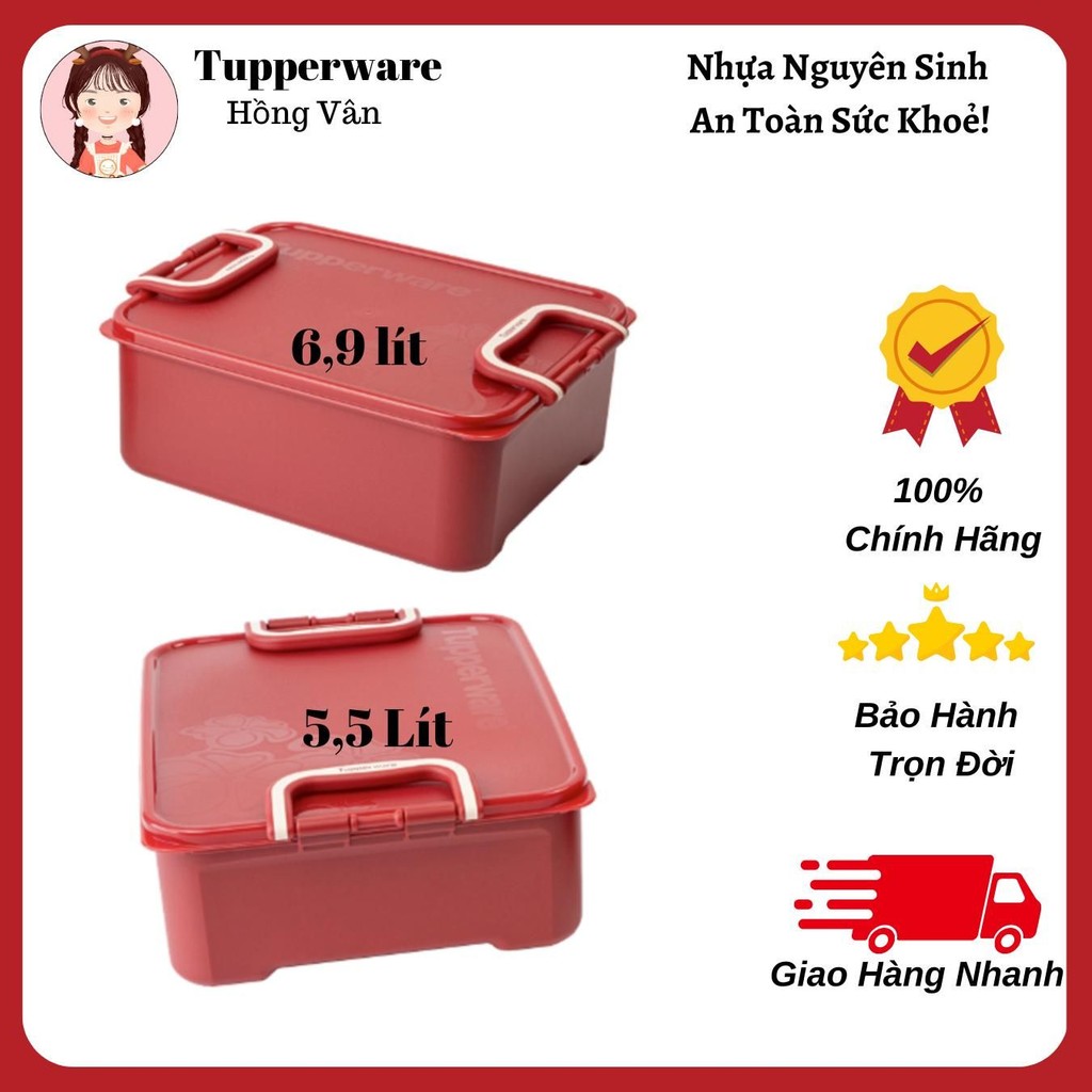Bộ Ngâm Kim Chi Tupperware, Hộp mát tủ lạnh bảo quản hoa quả