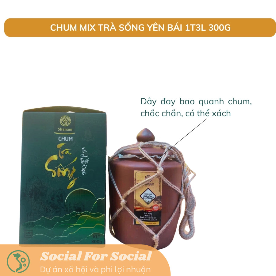 TRÀ VÀNG - CHUM MIX TRÀ SỐNG YÊN BÁI 1T-3L 300G-Shanam