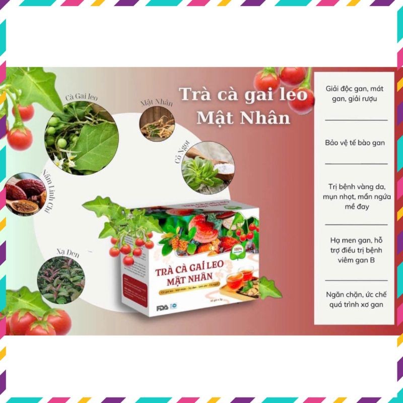 Trà Cà Gai Leo Mật Nhân - Hộp 60 gói - QUEENSHOP68