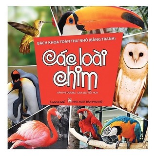 Sách - Bách Khoa Toàn Thư Nhỏ - Các Loài Chim