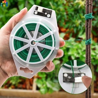 Cuộn dây cố định lan đủ cỡ -Fashinrandy