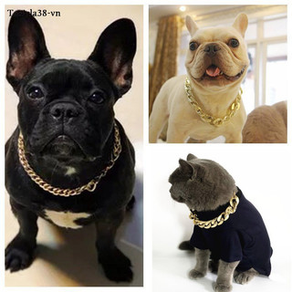Vòng cổ nhựa mạ vàng dày có thể điều chỉnh dùng huấn luyện chó bull cỡ vừa và lớn