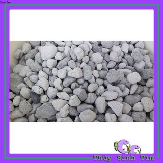 Vật liệu lọc cao cấp matrix pond