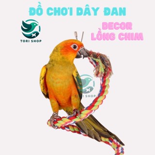 Đồ chơi day can nhiều màu Cho vẹt, yến phụng, hamster.... Đồ chơi decor lồng chim