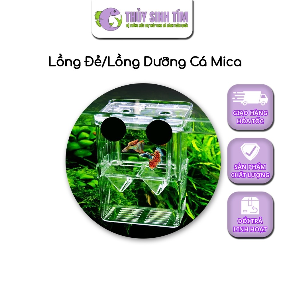Lồng Đẻ Mica Nhiều Size Dành Cho Cá Cảnh