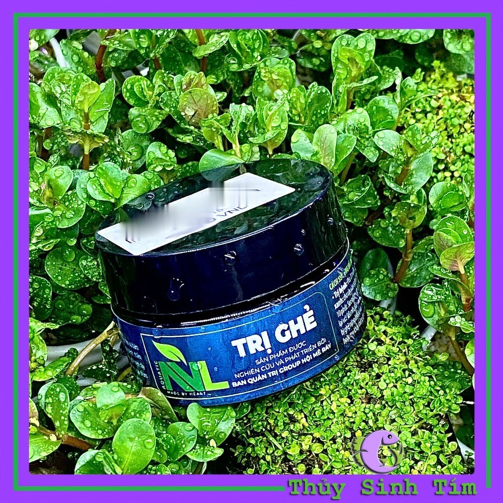 Trị Ghẻ Cây Thủy Sinh NVL