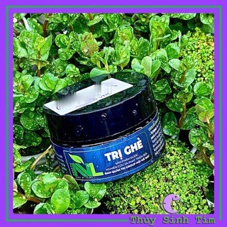 Trị ghẻ cây thủy sinh nvl