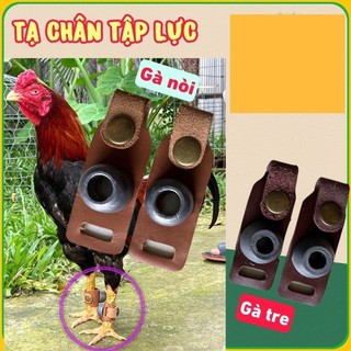 Tạ chì đeo chân tập lực cho gà nòi, gà tre