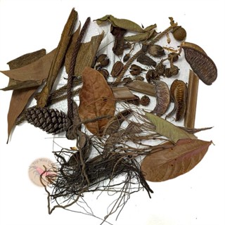 Túi Nguyên Liệu Khô Trang Trí Hồ Biotop | Black Water | Lá Khô, Quả Khô Giảm Stress Cá  - Tép Màu Quận 3