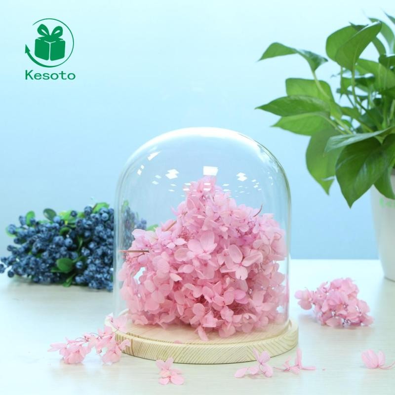 Kesoto Glass Display Dome Cloche Bell Jar có đế gỗ để trang trí DIY #A
