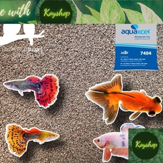 1kg Cám Cá Cargill 7404S size 0,5mm - thức ăn Cá Cảnh: Bảy Màu • Ba Đuôi • Betta • Cá Vàng...