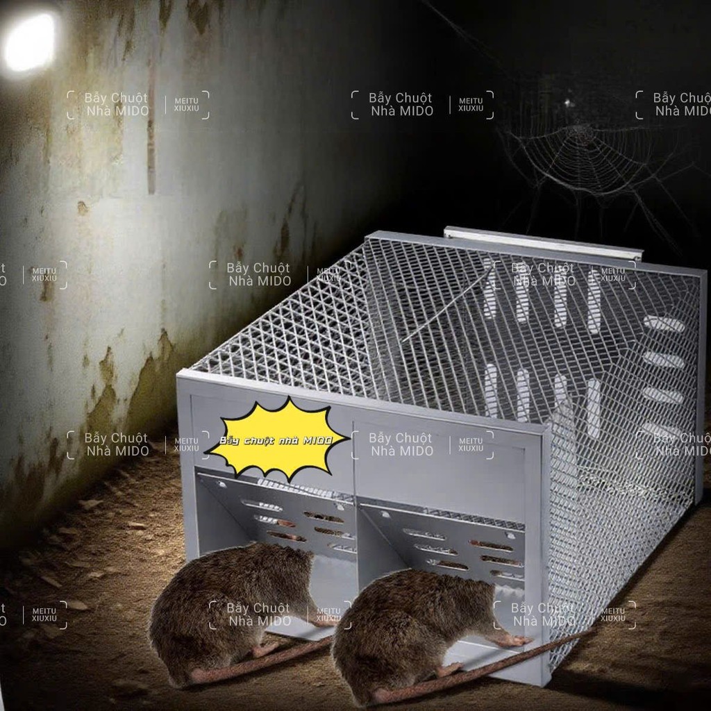Lồng Bẫy Chuột tự động siêu nhạy, lồng thép không gỉ lựa chọn hoàn hảo cho việc bắt chuột.
