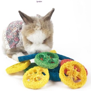 Lyndon Thỏ Nhai Đồ Chơi Chinchillas Gerbils Loofah Đồ Chơi Thỏ Handmade Hữu Cơ Tự Nhiên