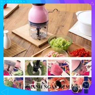 Máy Xay Đa Năng, Xay Đá,Xay Thịt 1130
