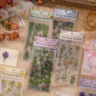  Quuzmo 6 Cái   gói Vintage Rác Viết nhật ký cắt dán PET gói nhãn dán  Nature Series  diy sổ lưu niệm nguồn cung cấp album nhật ký trang trí nhãn dán văn phòng phẩm 