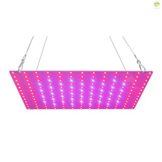 Đèn Led Đèn Led Hoa Led Đỏ 81 Đèn Led Cây Trong Nhà Đèn Led Bảng Điều Khiển Đèn Đỏ Đèn Bảng Màu Đỏ [Hoa Trong Nhà] 81 Đèn Led Cây Đỏ {doc} Đèn Led Hoa