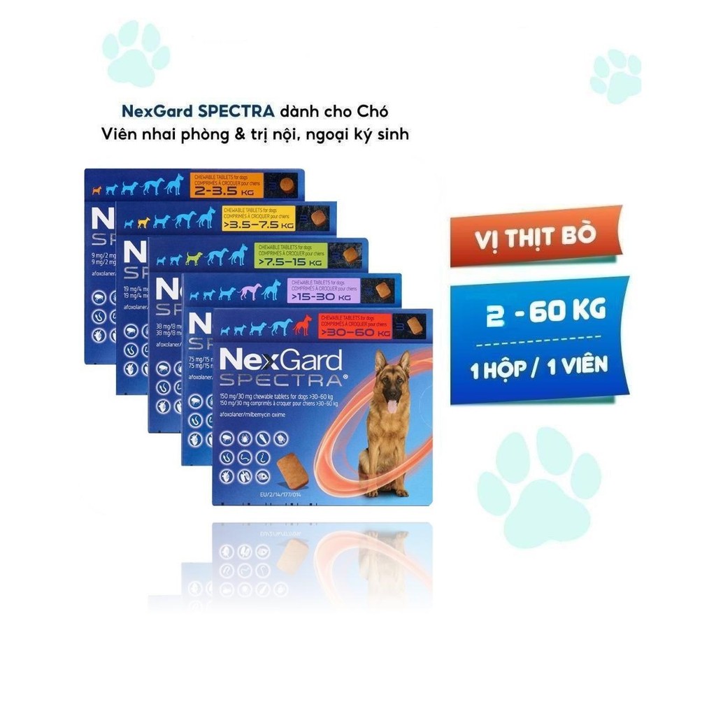 NexGard SPECTRA - Hộp 1 viên nhaivị thịt bò cho chó 2-60kg phòng & trị ve, rận, bọ chét, ghẻ Demodex, Sarcoptes, giun