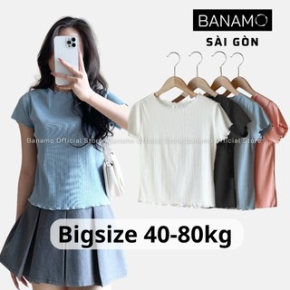 Áo thun nữ Banamo Sài Gòn áo babytee cổ bèo cộc tay chất gân thái mềm mại thoáng mát 3901