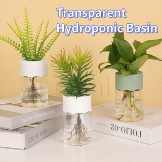 Chậu hoa thủy canh Mini - Chậu nhựa trong suốt đơn giản - Tàu cây xanh tròn - Chậu hoa để bàn có chậu mọng nước - Trang trí nhà văn phòng