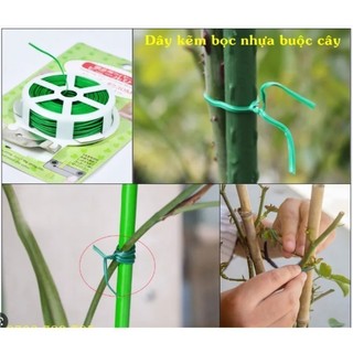 [HCM] cuộn dây cố định lan đủ cỡ (loại có dao cắt sẵn)-Fashinrandy