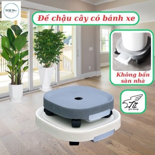 Kệ đế chậu cây có bánh xe, chịu lực 80kg, khay hứng nước thừa