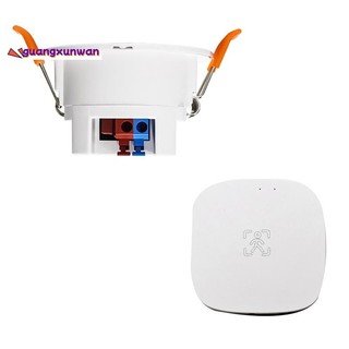 Tuya ZigBee mmWave Cảm biến hiện diện của con người với phát hiện Radar MicroWave độ sáng Cảm biến chuyển động PIR