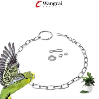 Wangcai xích đeo chân chim vẹt huấn luyện bằng thép không gỉ an toàn tiện dụng