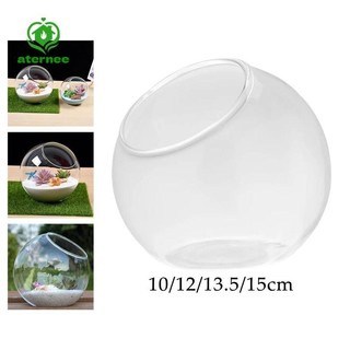 Aternee Plant Terrarium Clear Centerpiece Hộp đựng trang trí Mặt bàn bằng kính Cắt nghiêng