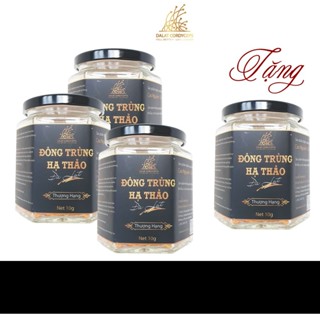  Nấm đông trùng hạ thảo khô đã được sấy thăng hoa giữ nguyên dưỡng chất Dalat Cordyceps 10gr 4 hộp 