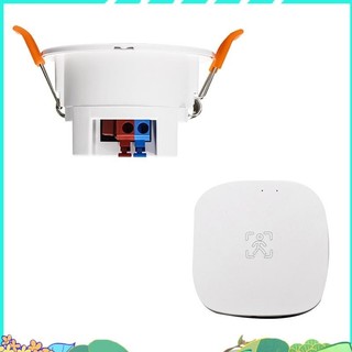 Tuya ZigBee mmWave Cảm biến hiện diện của con người với độ sáng Phát hiện Radar MicroWave Cảm biến chuyển động PIR yehengh