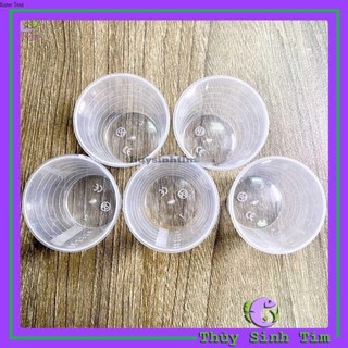 Cốc Đong Dung Dịch 30ml Có Chia Vạch