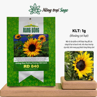 Hạt giống Hoa Hướng Dương thân cao, nhiều màu sắc, có thể cắt cành, trồng quanh năm,  - Nông Trại Sago