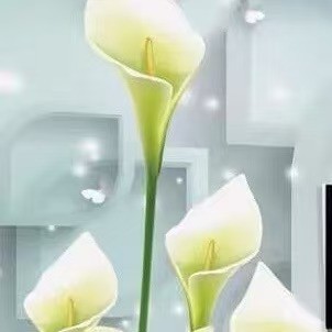18D Thiết kế nổi ba chiều/đơn giản mới