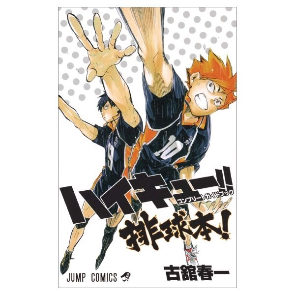 Haikyu!! Complete Guide Book