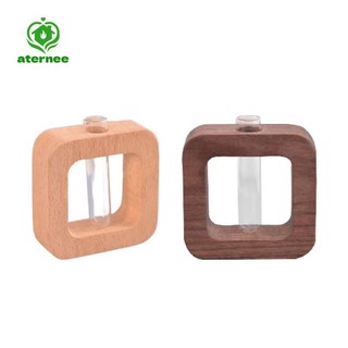 Sắp xếp chậu cây Aternee