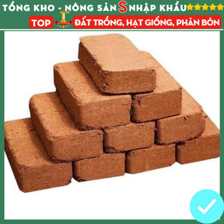 Combo 5 viên đất nén sơ dừa tiện ích lợi lợi khuẩn tặng 2 gói hạt giống